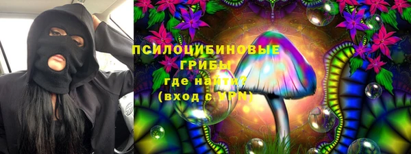 PSILOCYBIN Богданович