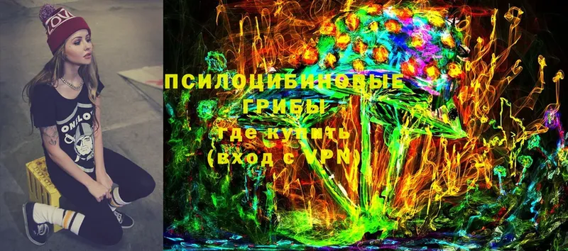 сколько стоит  Югорск  Галлюциногенные грибы Magic Shrooms 